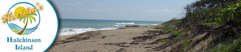 Hutchinson Island Florida, Beaches